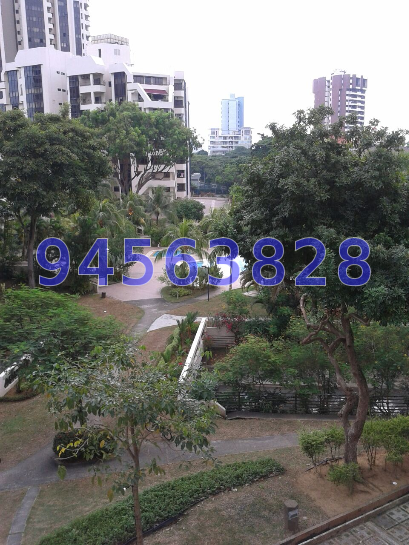 Bayshore Park (D16), Condominium #12612832